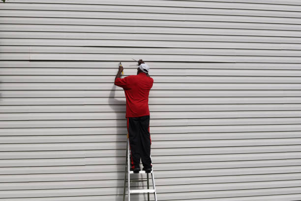 Professional Siding Services in Ruckersville, VA